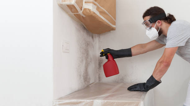 Professional Crawl Space Mold Removal technician working in Delta, CO