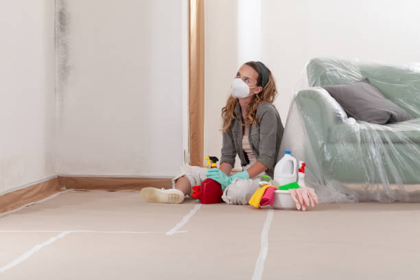 Reliable Crawl Space Mold Removal contractor in Delta, CO by WQB Mold Removal